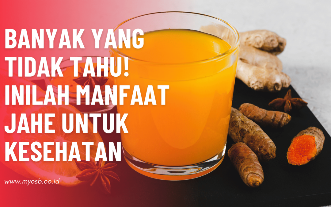 Banyak yang Tidak Tahu! Inilah Manfaat jahe Bagi Kesehatan